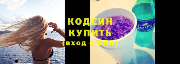 сатива Дмитров