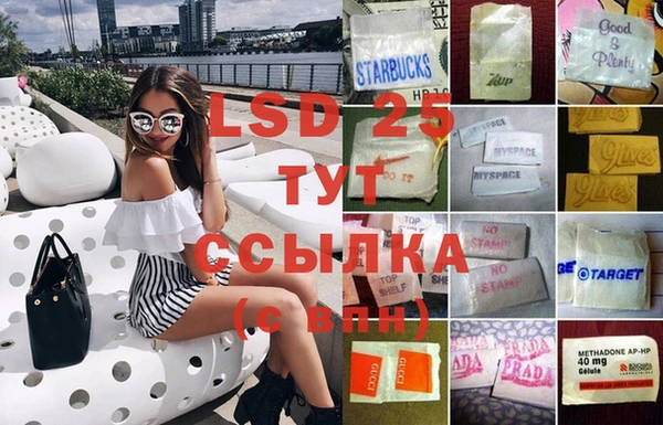 сатива Дмитров
