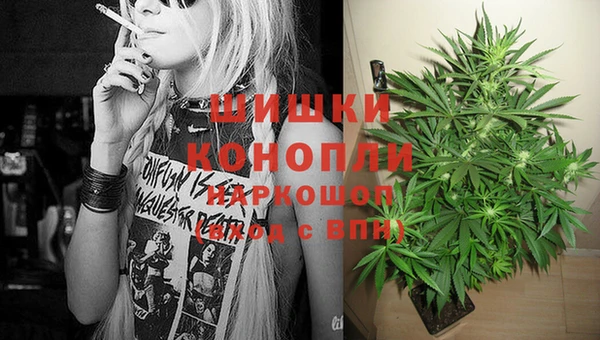 сатива Дмитров