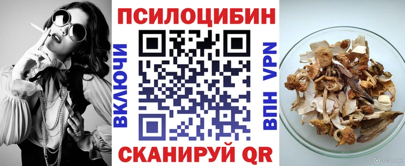 Купить  Качканар  Галлюциногенные грибы Psilocybe 